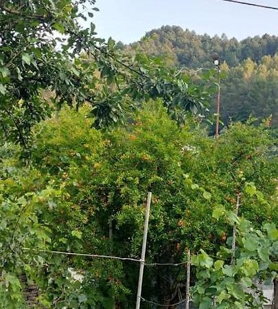Apartament Teuta Përmet 外观 照片